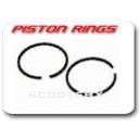 Piston Rings 