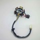 Ignition Coil 6 Stator  