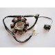 Ignition Coil 6 Stator  [1213]